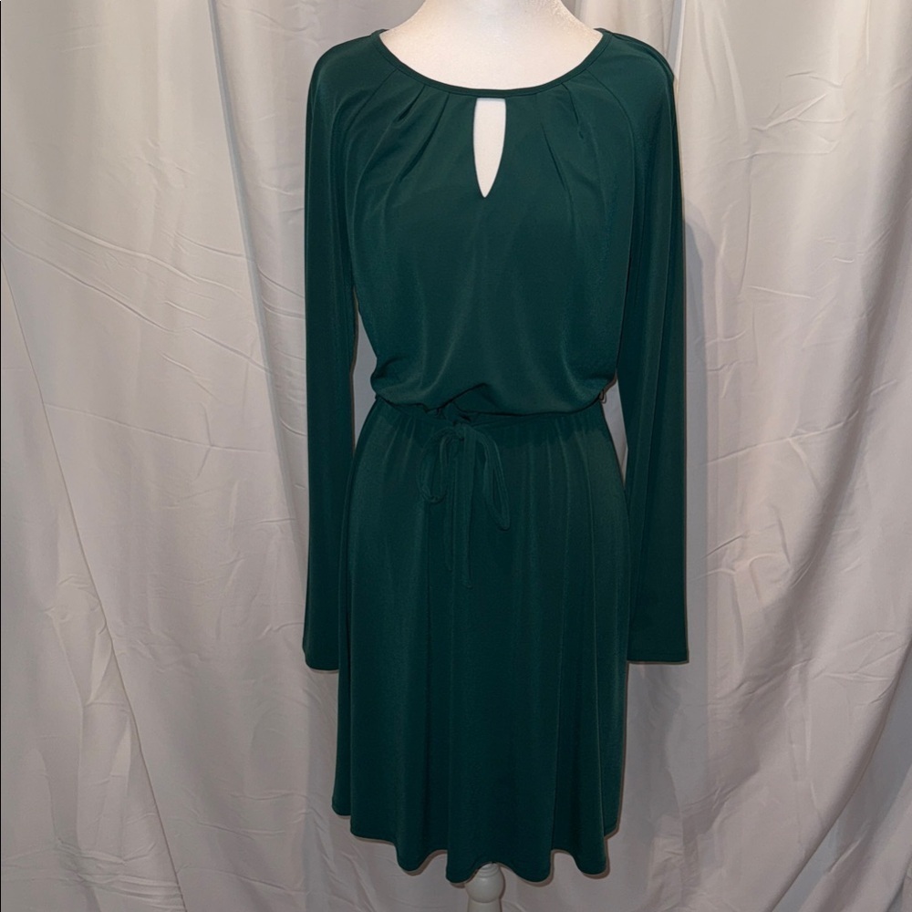 Ann Taylor Factory Teal Long Sleeve Dress - Picture 2 of 5